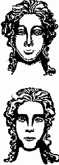    (  ) 